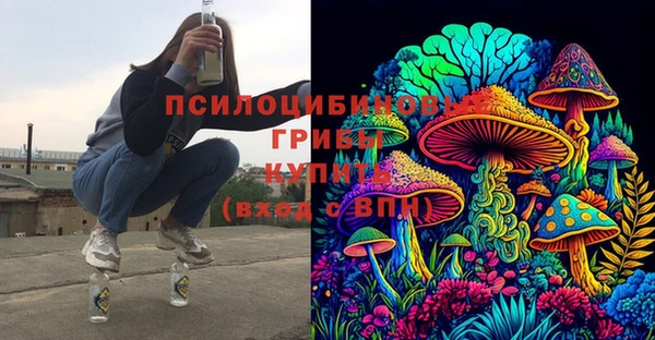 МДПВ Белокуриха