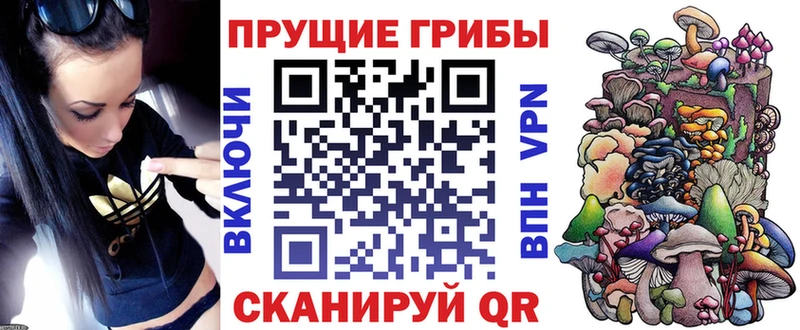 Галлюциногенные грибы Psilocybe  Купить где  Камешково 
