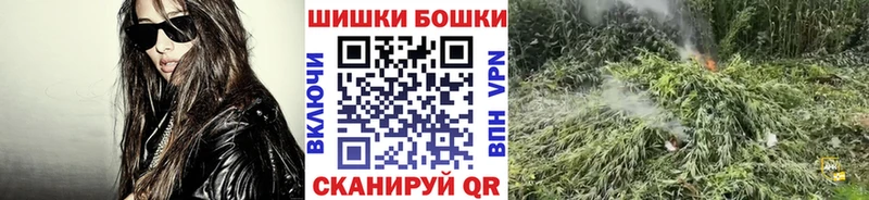 Бошки Шишки планчик Камешково