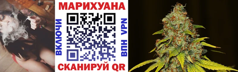 Купить закладки  Камешково  Бошки марихуана план 